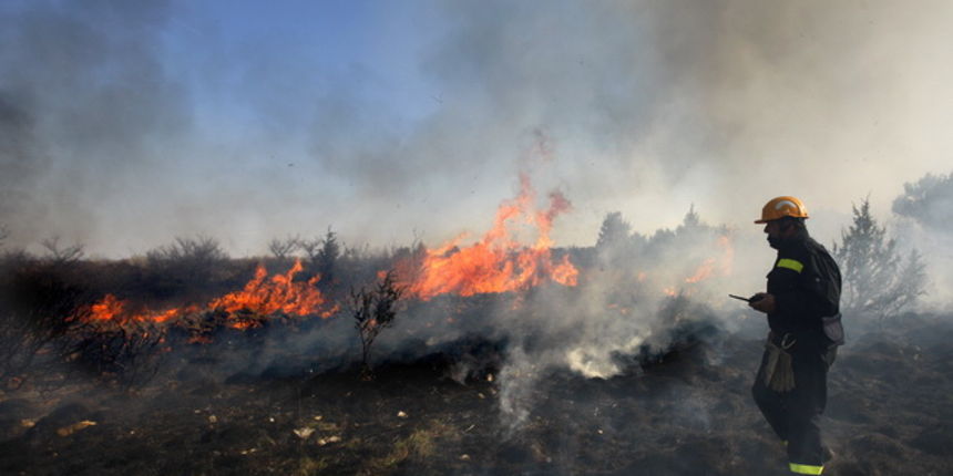 Pozar Bokanjac, Foto: Jure Miskovic / CROPIX Pozar Bokanjac, Foto: Jure Miskovic / CROPIX