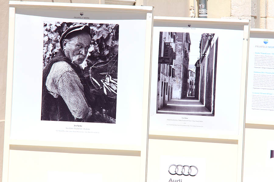 Izložba fotografija “Prijatelji mora” Izložba fotografija “Prijatelji mora”