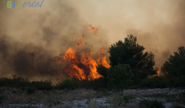 Zemaljske i zračne vatrogasne snage gase veliki šumski požar kod Crvene luke. Foto: Franjo Jurić/eBiograd