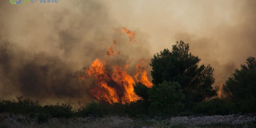 Zemaljske i zračne vatrogasne snage gase veliki šumski požar kod Crvene luke. Foto: Franjo Jurić/eBiograd Zemaljske i zračne vatrogasne snage gase veliki šumski požar kod Crvene luke. Foto: Franjo Jurić/eBiograd