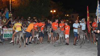 10. međunarodna trka tovarov Tisno 2015