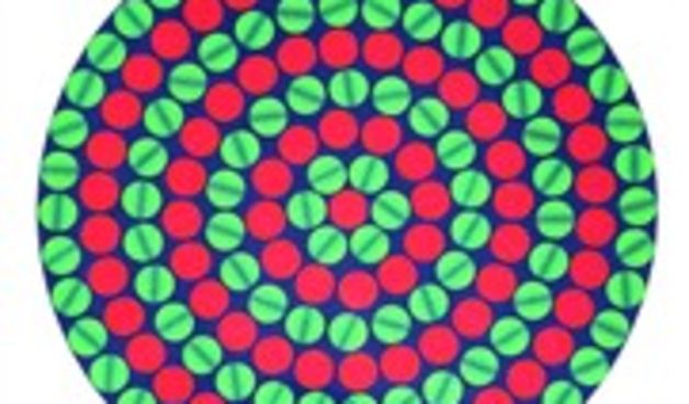 Programirani krugovi Ivana Picelja