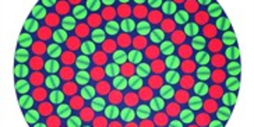 Programirani krugovi Ivana Picelja