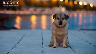 Večernji đir po gradu 10. srpnja 2019. Večernji đir po gradu 10. srpnja 2019.