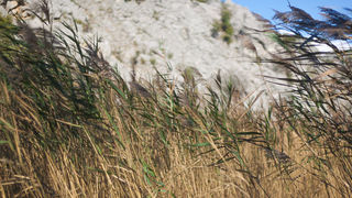 Izlet na Kudin most, foto: Darko Belančić Izlet na Kudin most, foto: Darko Belančić