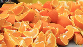 Wings for Life World Run Zadar 2017: Okrjepa u Bibinjama