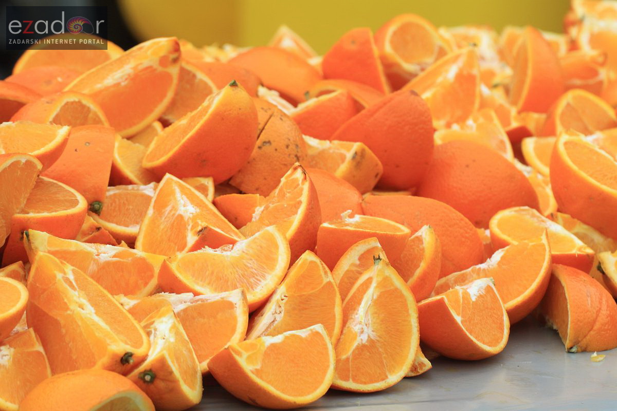 Wings for Life World Run Zadar 2017: Okrjepa u Bibinjama