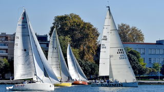 Sva lica “Zadarske koke” Sva lica “Zadarske koke”