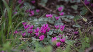 Drugi Planinarski pohod “Hajdemo do Vrane” 2. travnja 2016. Foto: Vinko Pešić
