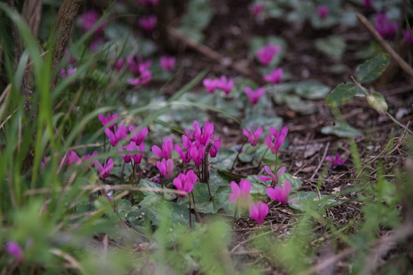 Drugi Planinarski pohod “Hajdemo do Vrane” 2. travnja 2016. Foto: Vinko Pešić