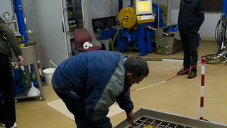 Put masline od stabla do djevicanskog ulja, Foto: Leo Banic Put masline od stabla do djevicanskog ulja, Foto: Leo Banic