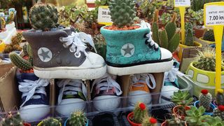 Cvjetna špica: Bili smo na Festivalu cvijeća u Sv. Filipu i Jakovu Cvjetna špica: Bili smo na Festivalu cvijeća u Sv. Filipu i Jakovu