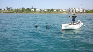 Plava čistka: Eko akcija “Učinimo Privlaku privlačnijom” Plava čistka: Eko akcija “Učinimo Privlaku privlačnijom”