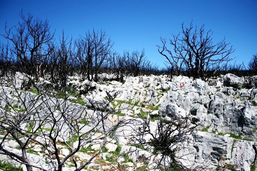4. planinarski pohod “Hajdemo do Vrane” u organizaciji PD Belveder