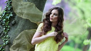 Misice kao šumske vile, koja ima ljepša krila?