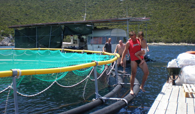Uzgajalište bijele ribe (Foto: ezadar.hr)