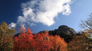 Paklenica: Boje jeseni, Foto: Mladen Radolovic Mrlja