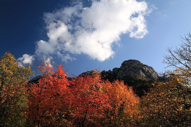 Paklenica: Boje jeseni, Foto: Mladen Radolovic Mrlja