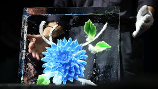 4. Tuna, Sushi & Wine festival otvoren gala večerom u Arsenalu 4. Tuna, Sushi & Wine festival otvoren gala večerom u Arsenalu