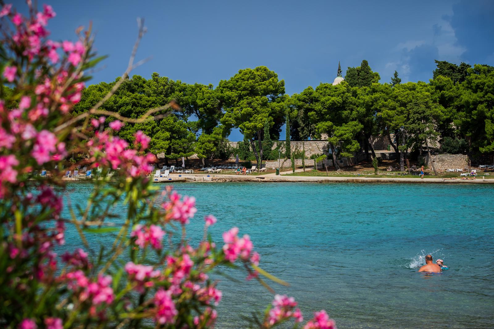 Ivan Rendić Ivan Rendić