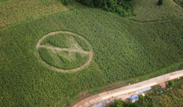 In this handout photo released by Greenpeace shows an aerial view of a crop circle made by local farmers and Greenpeace volunteers in Isabela province, 300 km northeast of Manila, on Saturday Sept. 30, 2006. The crop circle, with a slash over the letter ‘