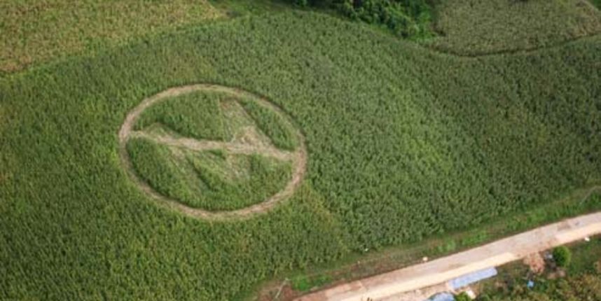 In this handout photo released by Greenpeace shows an aerial view of a crop circle made by local farmers and Greenpeace volunteers in Isabela province, 300 km northeast of Manila, on Saturday Sept. 30, 2006. The crop circle, with a slash over the letter ‘