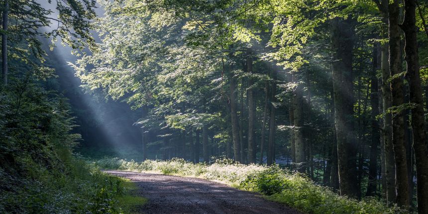 Planinarenje i prekrasni snimci Begova Razdolja i Samarskih stijena Planinarenje i prekrasni snimci Begova Razdolja i Samarskih stijena