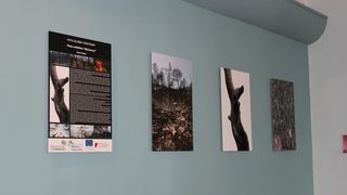 U Gradskoj knjižnici otvorena izložba “Crna šuma” Damira Hoyke