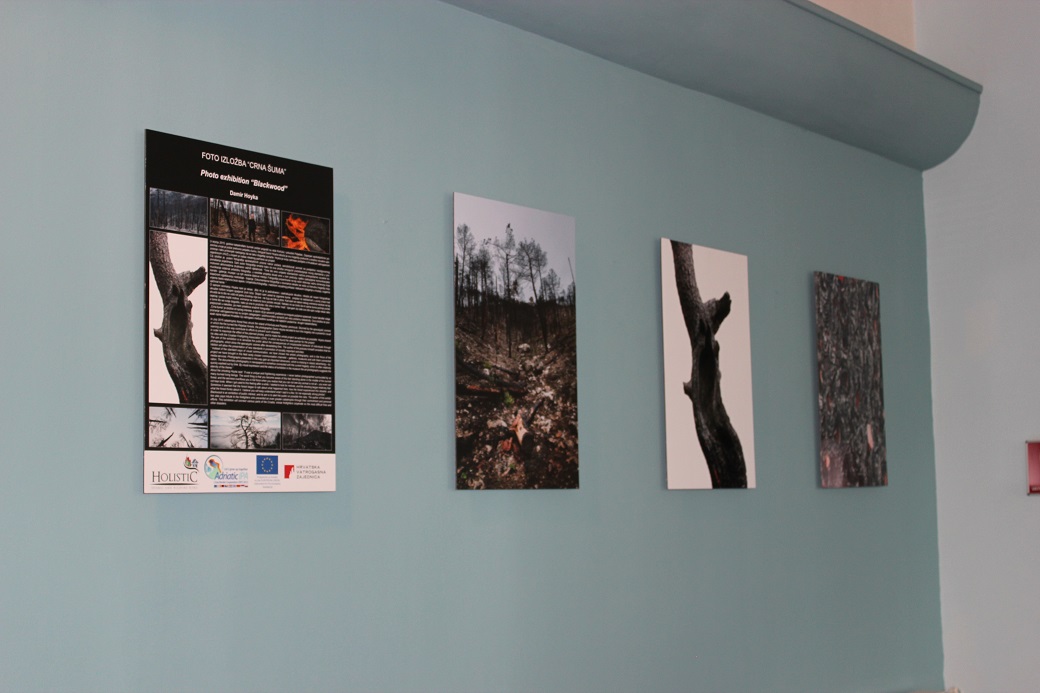 U Gradskoj knjižnici otvorena izložba “Crna šuma” Damira Hoyke