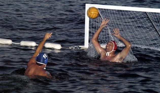 Morske orgulje; V.A.K.A.N.Z.A 2009.