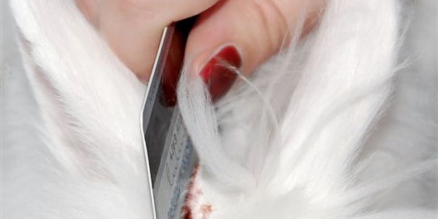 Dizajnom protiv krzna!