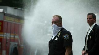 Image 1176071 (auto)