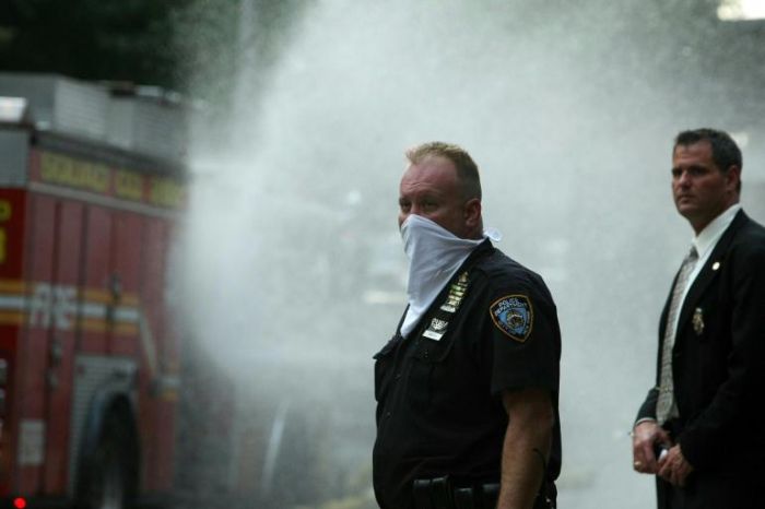 Image 1176071 (auto)