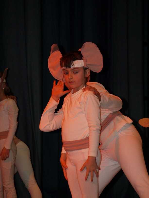 Plesno kazalisna udruga Zalet