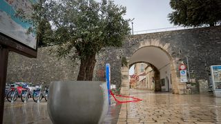 Maslina u velikoj i teškoj tegli preko noći “prošetala” do gradskog mosta Maslina u velikoj i teškoj tegli preko noći “prošetala” do gradskog mosta