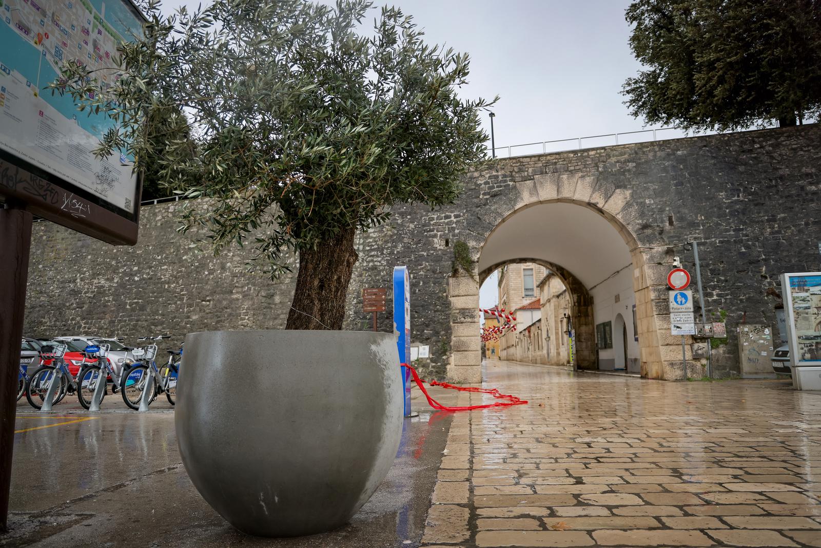 Maslina u velikoj i teškoj tegli preko noći “prošetala” do gradskog mosta Maslina u velikoj i teškoj tegli preko noći “prošetala” do gradskog mosta