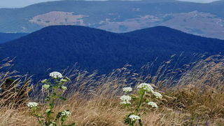 Đir do Kremena, foto: L. Kvarantan