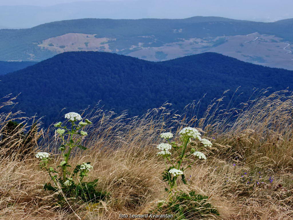 Đir do Kremena, foto: L. Kvarantan