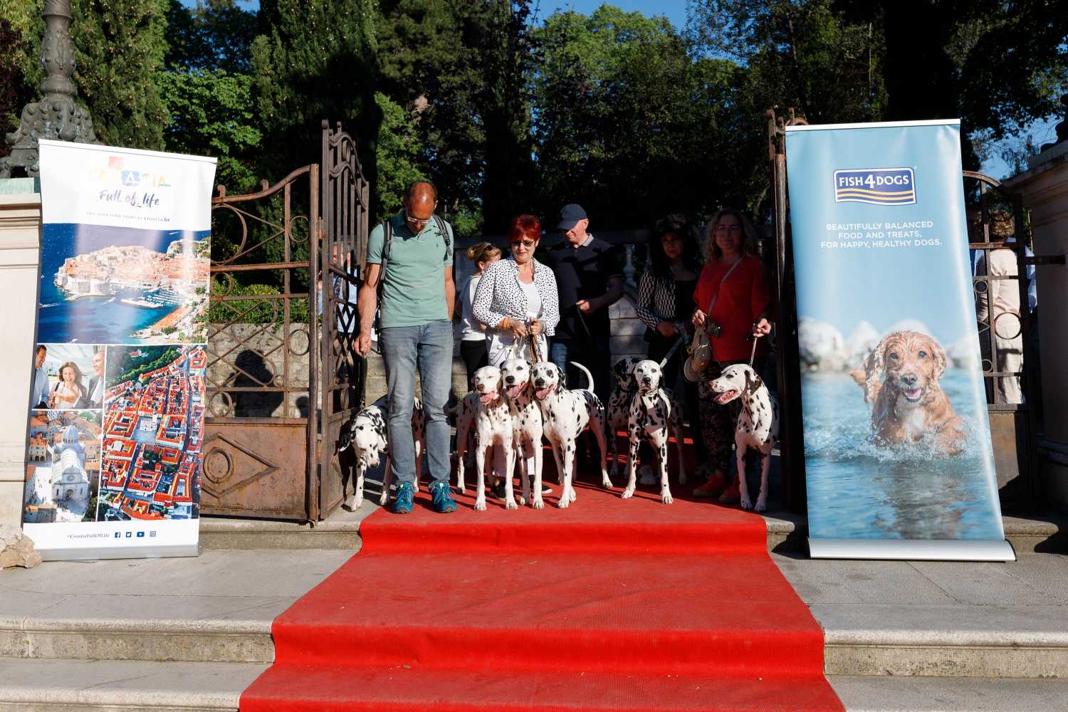 Red Carpet Dalmatian Walk @Trg pet bunara Red Carpet Dalmatian Walk @Trg pet bunara