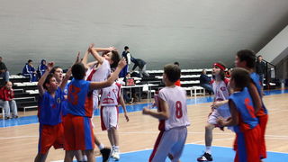 Bozicni turnir SK Zadar: Cedevita – D. Petrovic