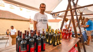 Kolan: Fešta od sira