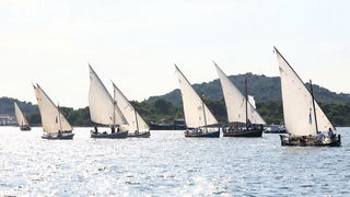 Murter: 22. regata Latinsko idro