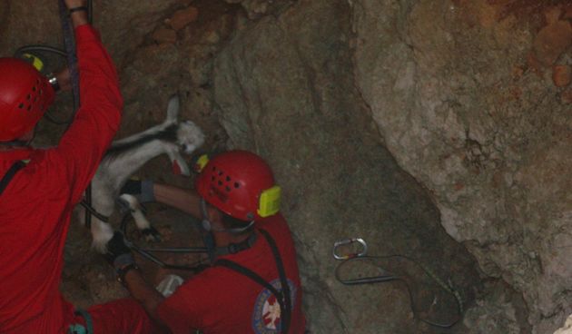 GSS spašavanje kozlića (Foto:GSS Zadar)