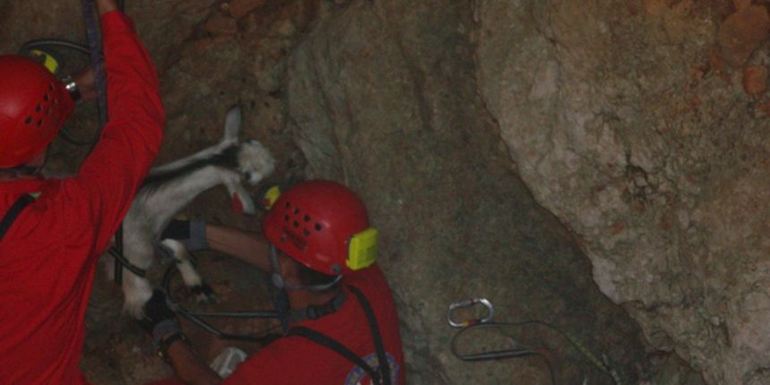 GSS spašavanje kozlića (Foto:GSS Zadar) GSS spašavanje kozlića (Foto:GSS Zadar)