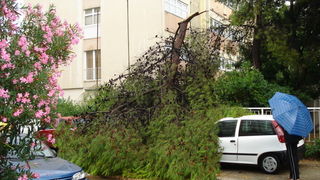 18.7.2009. Posljedice nevremena u ul. F. Tudjmana i B.J.Jelacica u Zadru 18.7.2009. Posljedice nevremena u ul. F. Tudjmana i B.J.Jelacica u Zadru