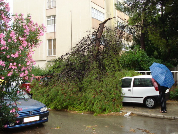 18.7.2009. Posljedice nevremena u ul. F. Tudjmana i B.J.Jelacica u Zadru 18.7.2009. Posljedice nevremena u ul. F. Tudjmana i B.J.Jelacica u Zadru