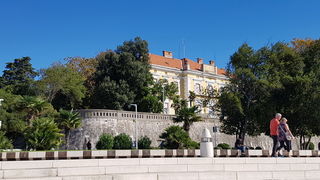 Zadarska Koka 2016. 22. listopada 2016. Foto: Mladen Malik Zadarska Koka 2016. 22. listopada 2016. Foto: Mladen Malik