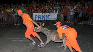 Tisno: Međunarodna trka tovarov 2013, Foto: Edin Kadić Tisno: Međunarodna trka tovarov 2013, Foto: Edin Kadić