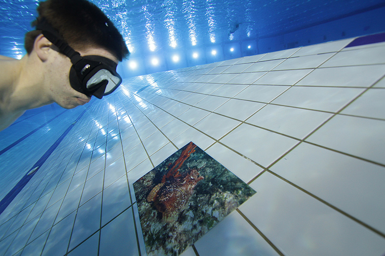 SC Višnjik: Podvodna izložba ronilačkog kluba “Roko” SC Višnjik: Podvodna izložba ronilačkog kluba “Roko”