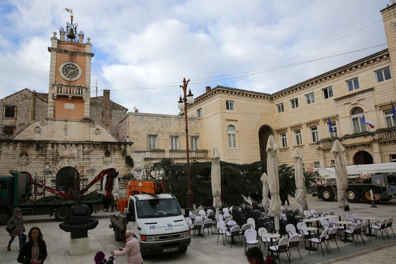 25.11.2013., Zadar – Na Narodnom trgu postavljena je jelka koja ce do prvog mjeseca 2014. krasiti najfrekventnije mjesto u centru grada. Photo: Filip Brala/PIXSELL Autor Filip Brala/PIXSELL KLJUČNE RIJEČI Narodni trg, bor, Jelka, Bozicni ugodjaj, bozi 25.11.2013., Zadar – Na Narodnom trgu postavljena je jelka koja ce do prvog mjeseca 2014. krasiti najfrekventnije mjesto u centru grada. Photo: Filip Brala/PIXSELL Autor Filip Brala/PIXSELL KLJUČNE RIJEČI Narodni trg, bor, Jelka, Bozicni ugodjaj, bozi